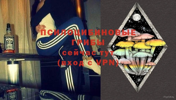 винт Надым