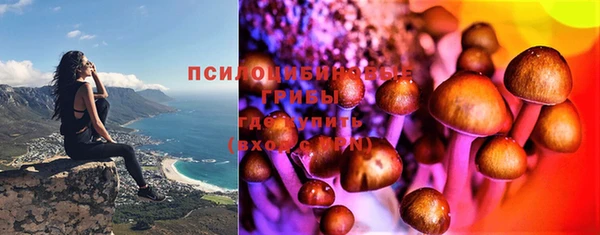 винт Надым